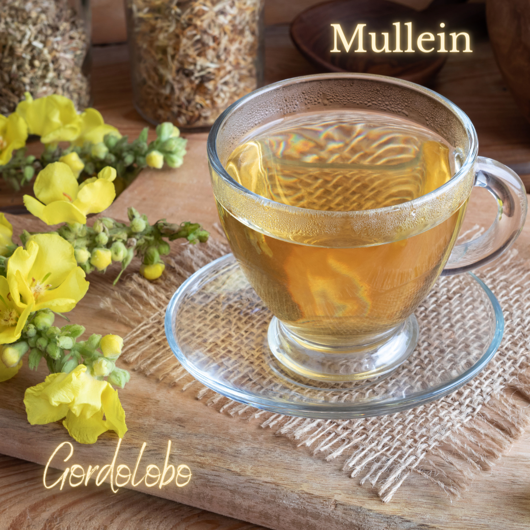 Lung Supportive Herbs - 2.PNG