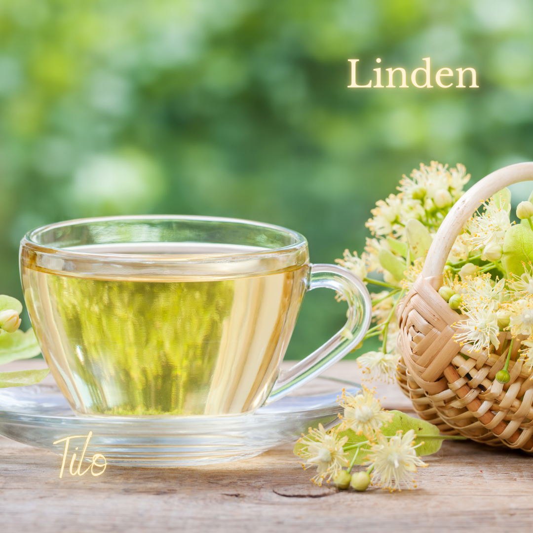 Lung Supportive Herbs - 4.PNG