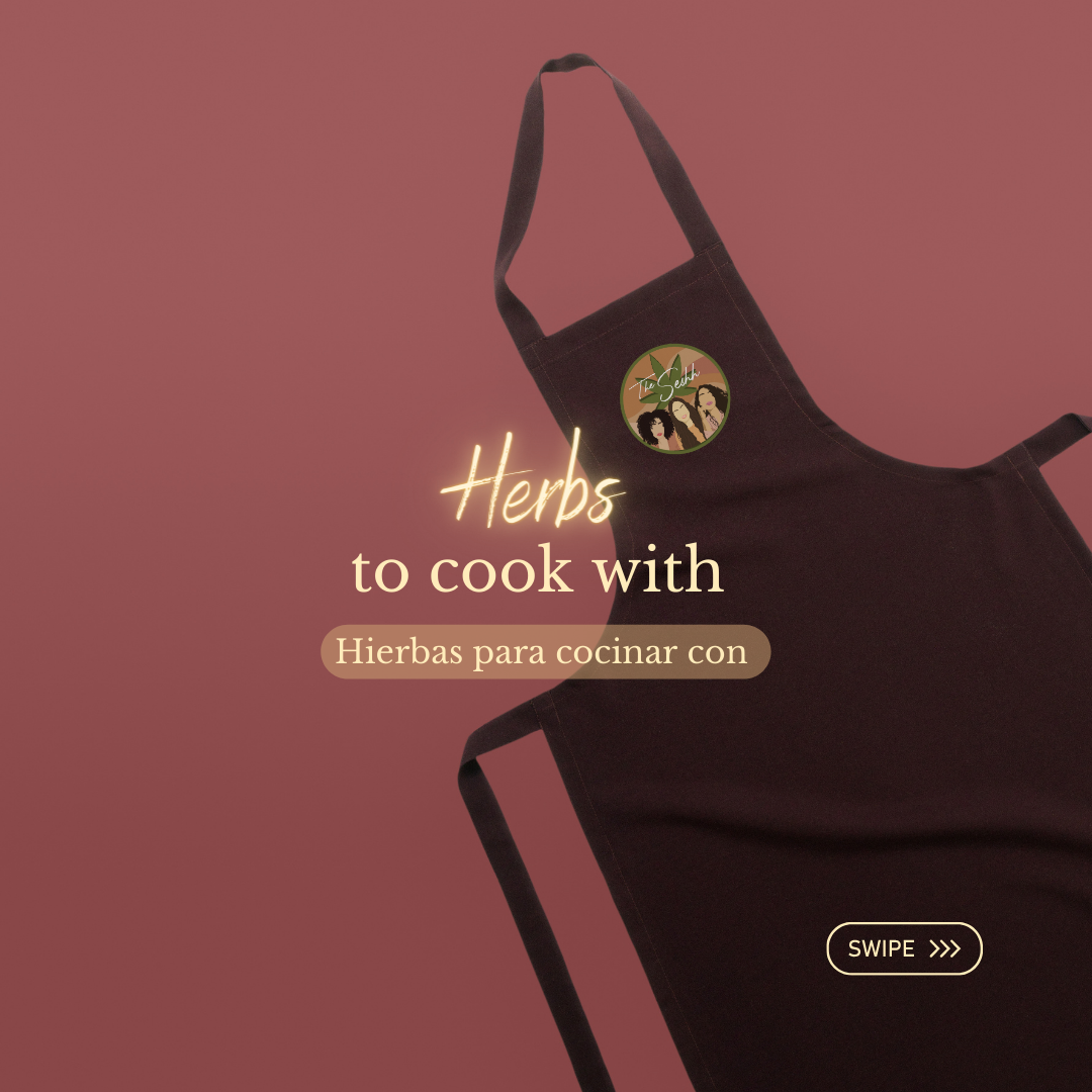 Lung Supportive Herbs - 7.PNG