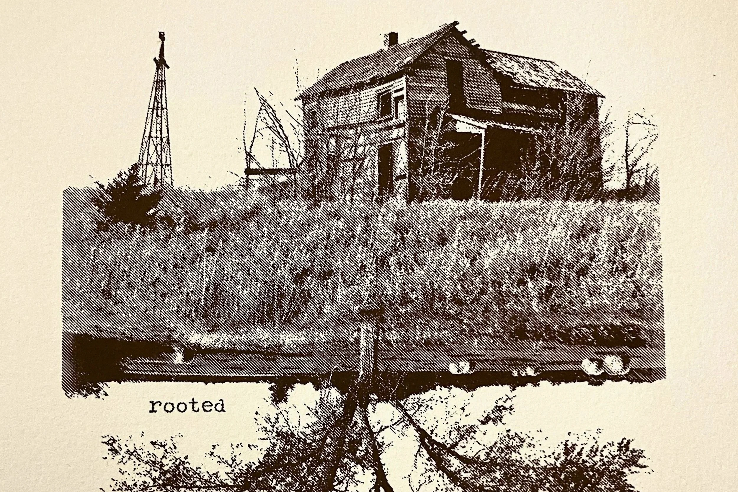 Rooted