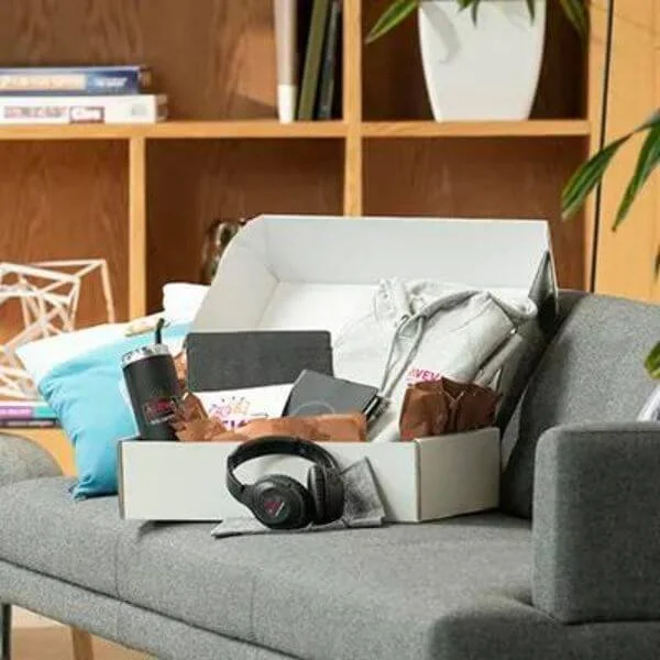 A gray sofa with a white box filled with various items including a gray hoodie, a black object, a brown paper bag, and a pair of black headphones on the armrest. In the background, there is a wooden bookshelf with books and decorative items, and a white potted plant.