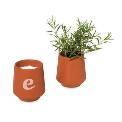 Rooted Scented Candle