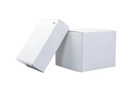 Large Size USPS mailing box
