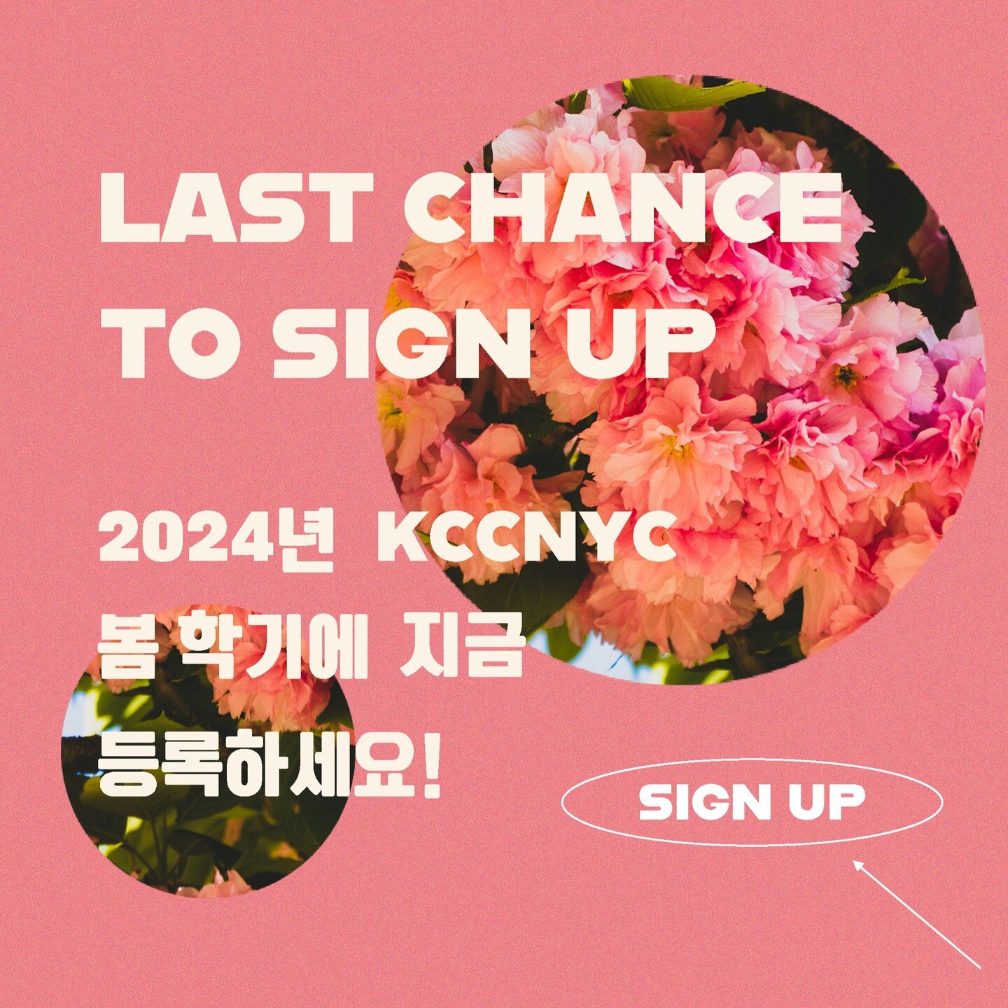 안녕하세요! Our 10-week Spring Session began this week, and our registration window will stay open until March 22. Kindly note that the registration for each course closes the day before the first day of that class! Sign-up link in bio - 곧 수업에서 만나요! 🌸

#