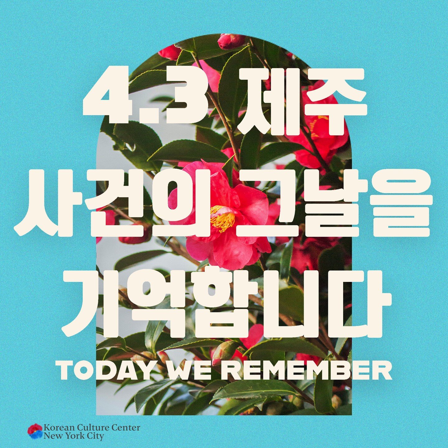 From @jeju43peace museum: &quot;Why did 동백 (camellia) become the symbolic flower of Jeju 4&bull;3? 동백 (camellia) is a flower that blooms in cold winter. Dong (동) in the Korean name of the flower means winter. Its vibrant red petals symbolize the tena