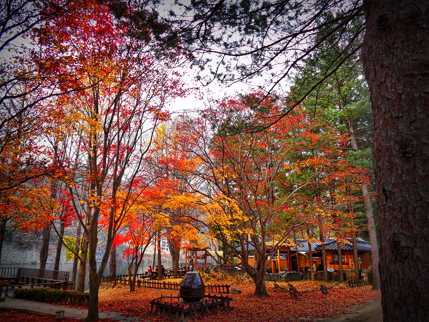 LETTER FROM THE EDITOR - VOL. 5