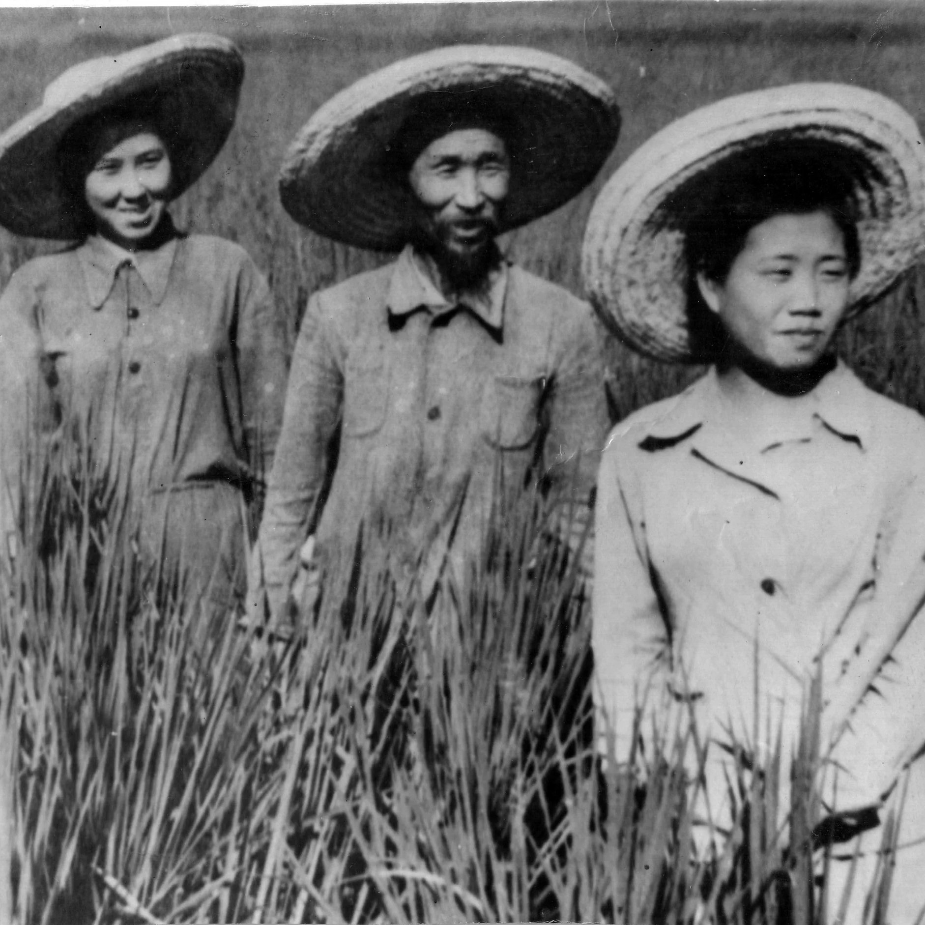 THIS MONTH IN KOREAN HISTORY - Aug 2025