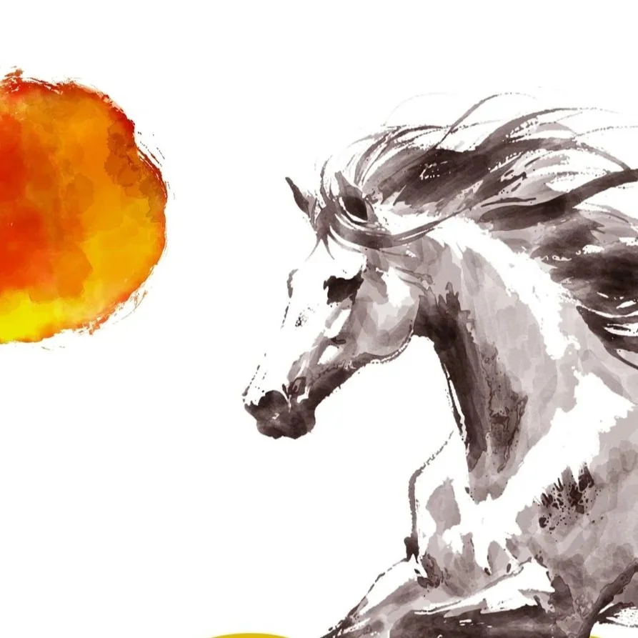 LETTER FROM THE EDITOR - VOL. 21