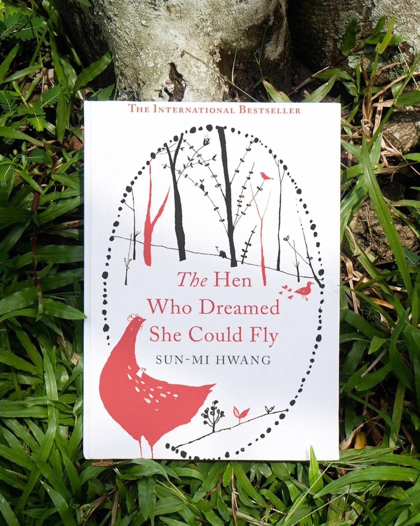 📚 In May, in celebration of the public holiday of Children&rsquo;s Day and the recognized celebration of Parent&rsquo;s Day, both in May in South Korea, we are going to read the short novel The Hen Who Dreamed She Could Fly by Sun-mi Hwang. Sun-mi H