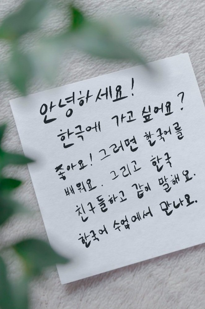 Untitled_Artwork 3.jpg