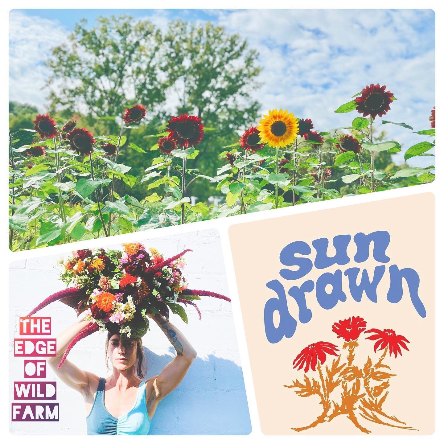 Hello everyone! I&rsquo;m here to announce a lovely natural dye workshop that dear friend and talented artist, Marla of @sun_drawn_ , and I are teaching together. Hosted at my farm, located on the grounds of long time friend and partner, @wtdiner, we