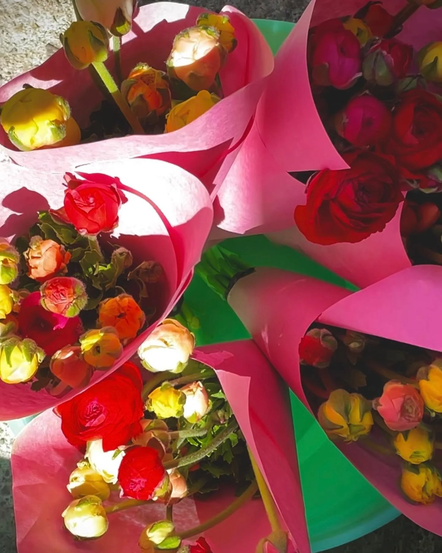 Came out on the other side of that terrifying 33 degree May night with only minimal damage. I hope you all did too! What came next is a bed full of bursting ranunculus 😍My first year growing, and I&rsquo;ll never go a season without. They rooted for