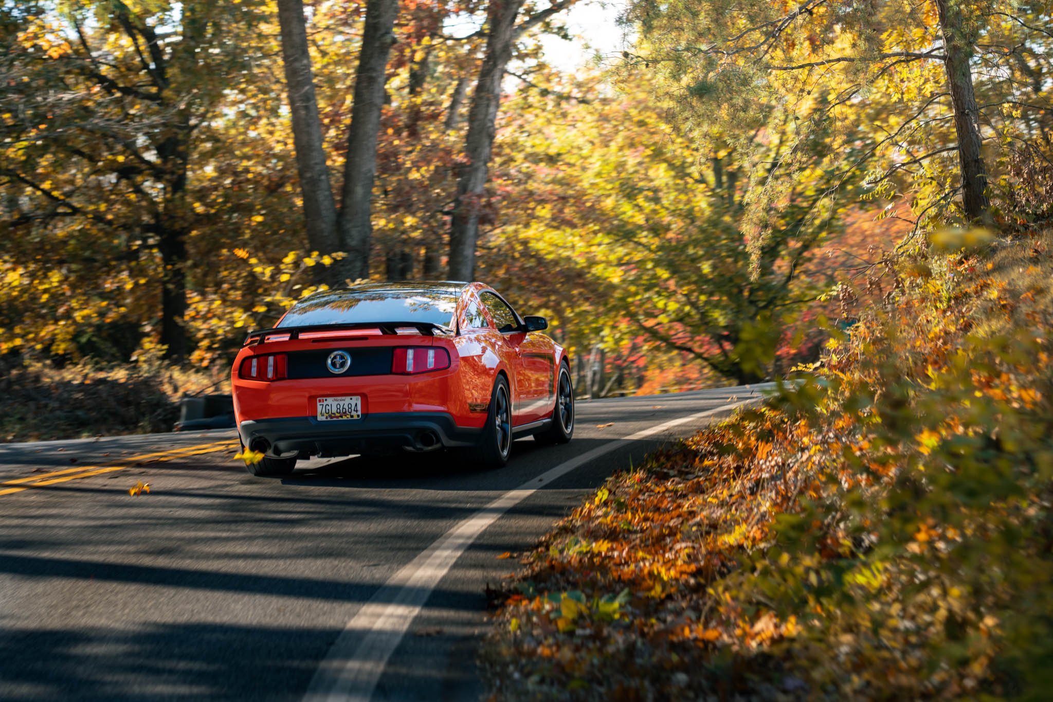 Full_DSC07174-1.jpg