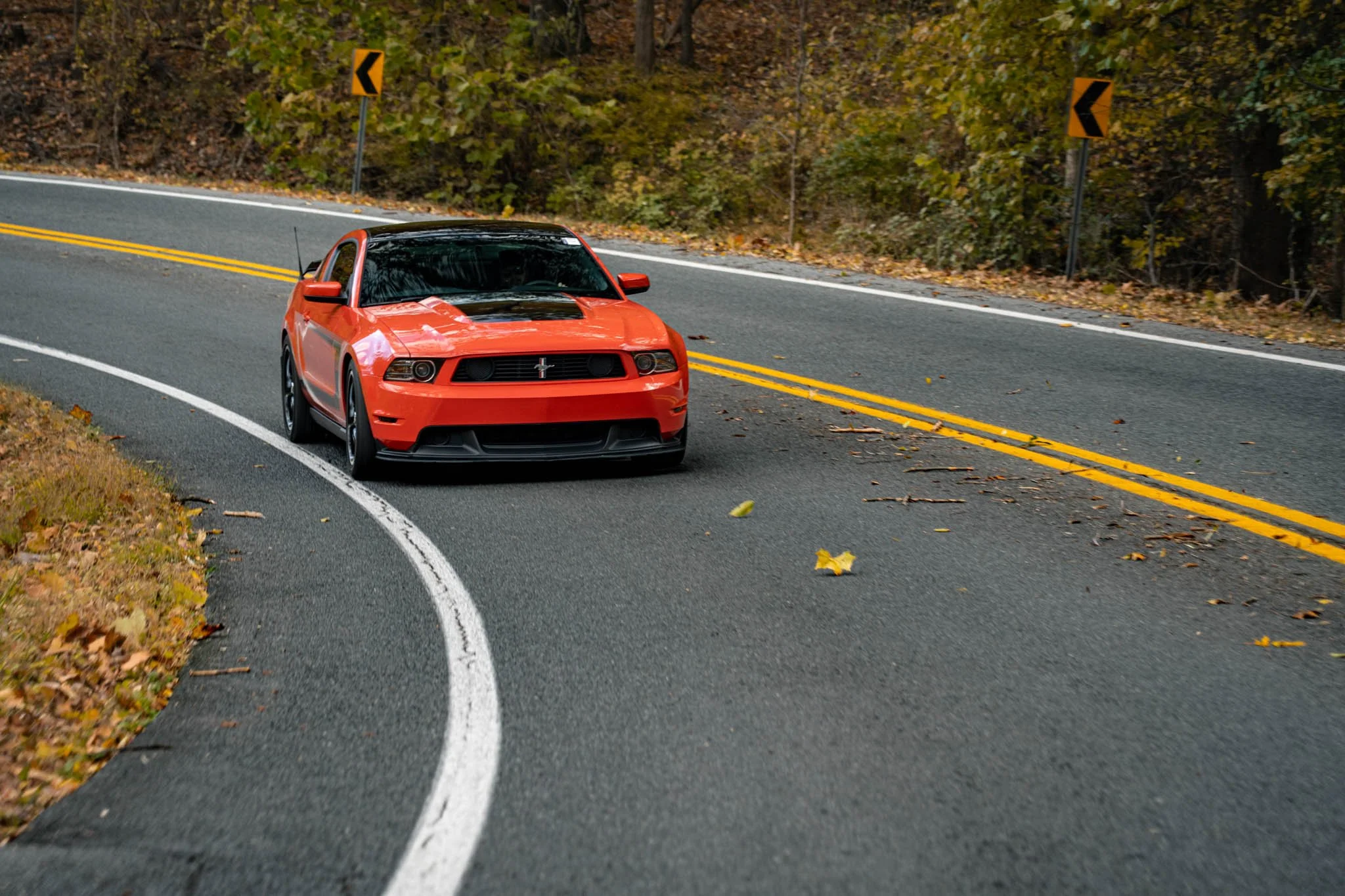 Full_DSC08281-1.jpg