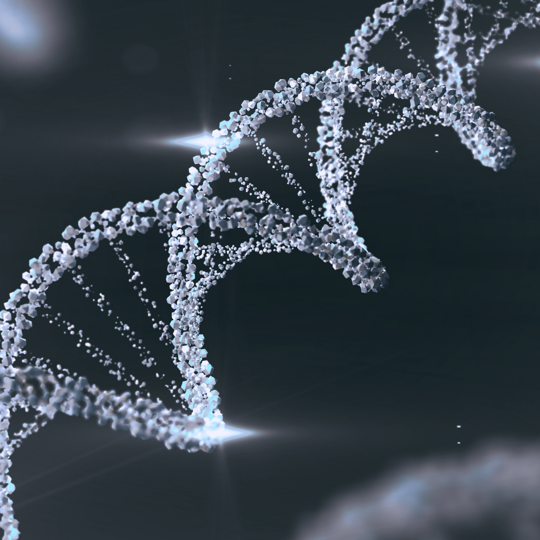 Platinum Package / الباقة البلاتينية