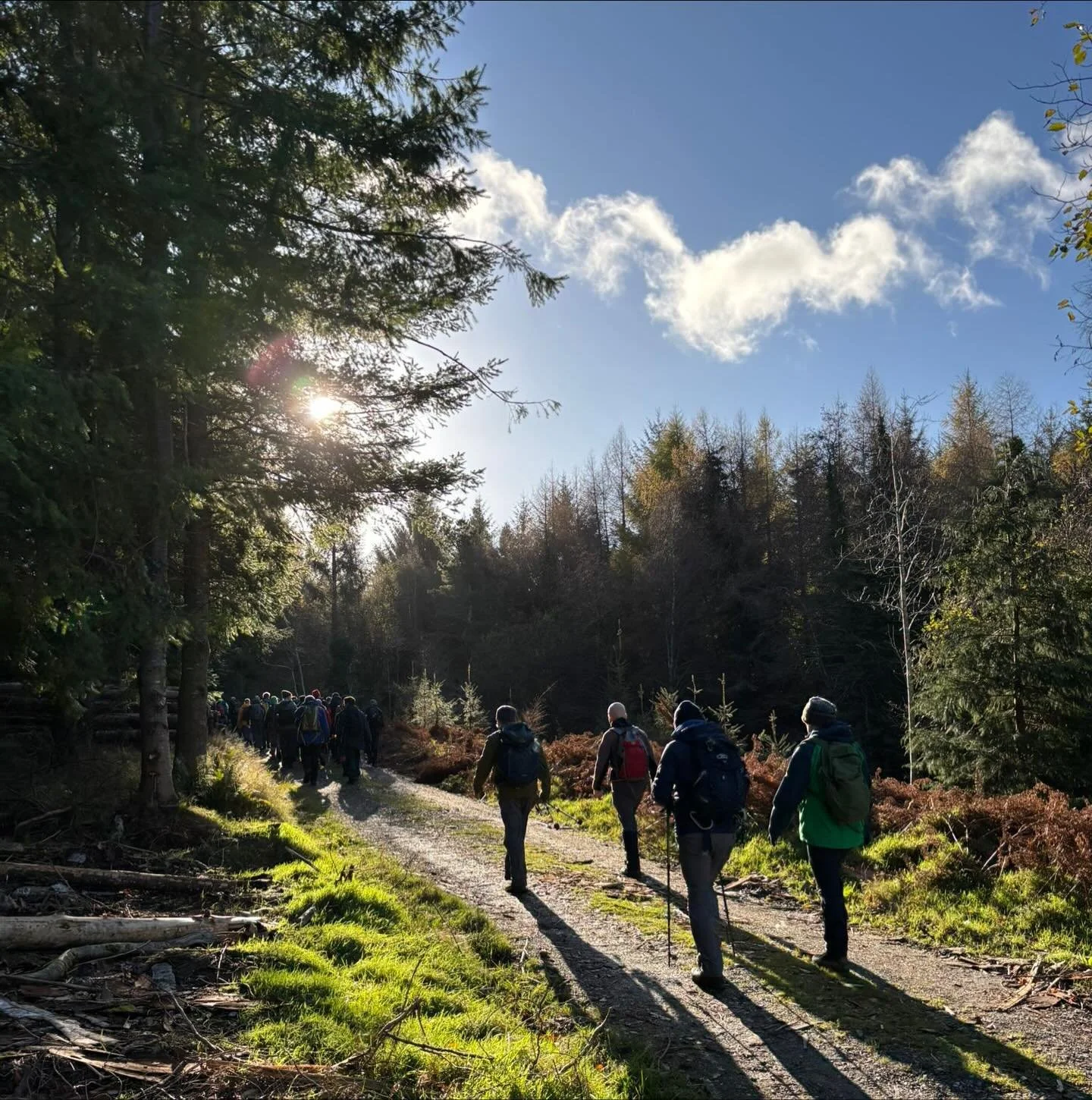 Another amazing outing with the group at Devil&rsquo;s Glen Woods 🌲✨Laughs, views, and miles well spent. Huge thanks to everyone who joined us Yesterday 🥾🌈