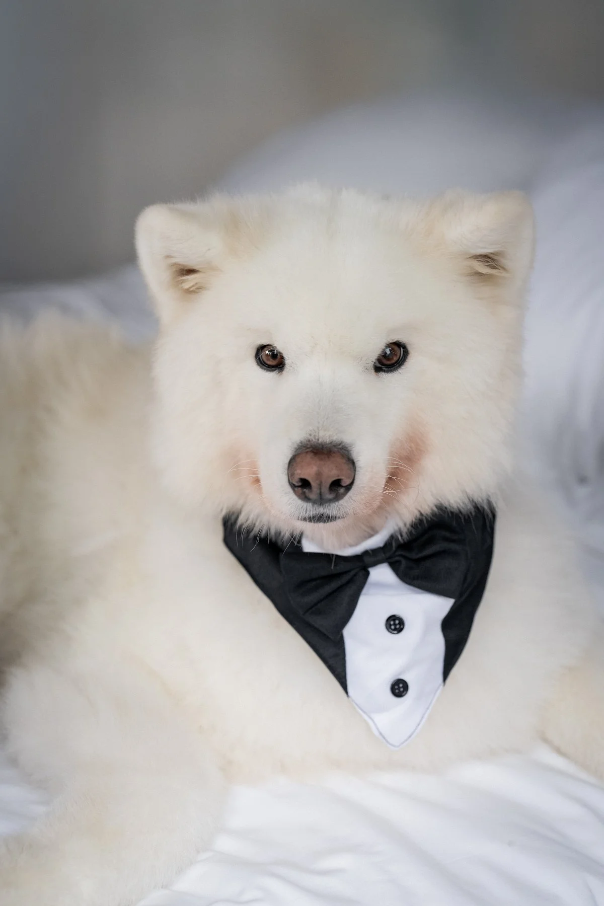 501 Union Wedding_0013.JPG