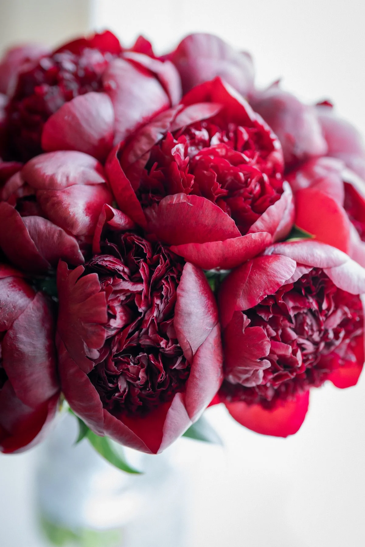 The Pierre Hotel wedding-0001.JPG