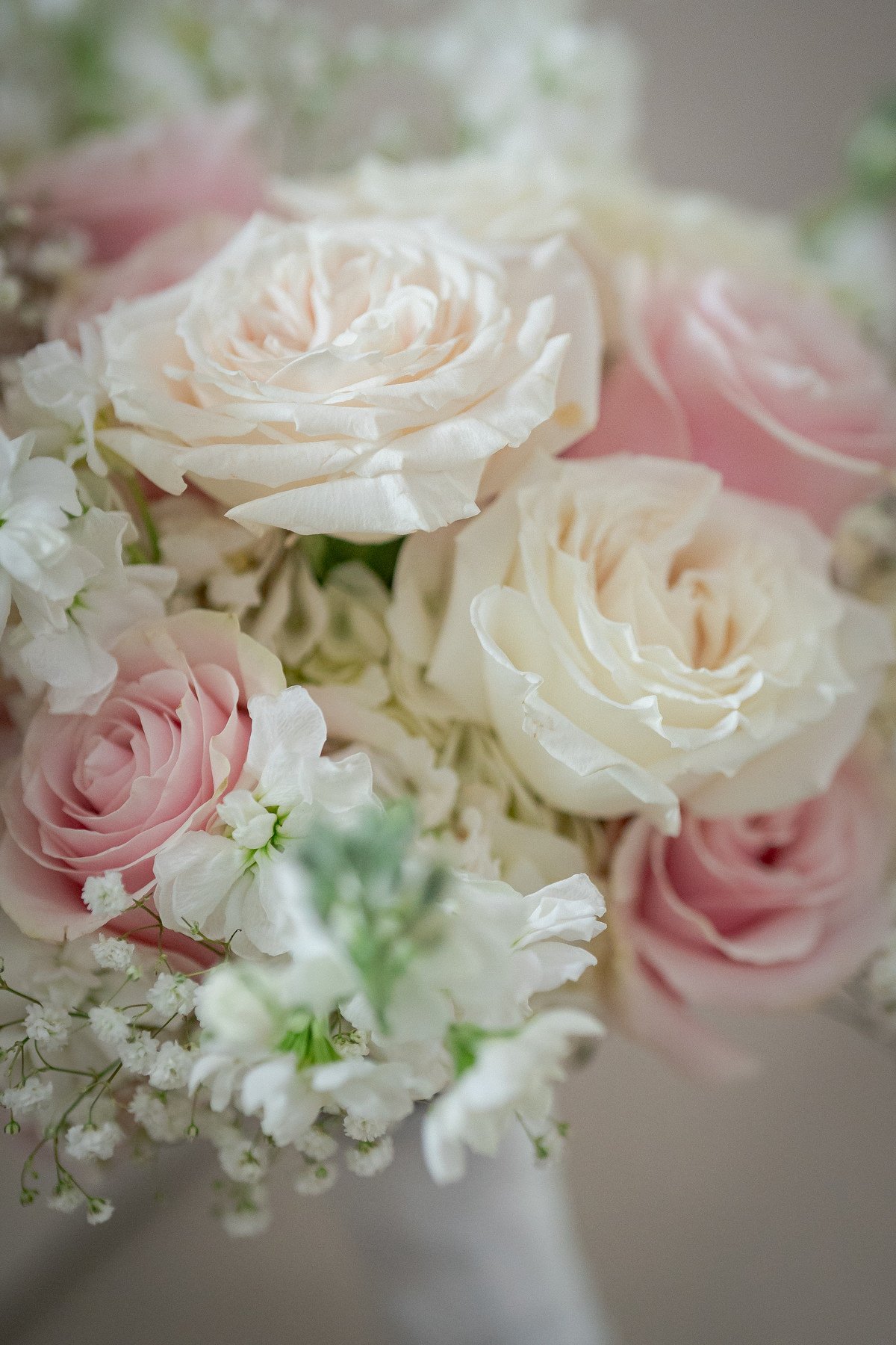  Royalton Mansion Wedding_0009.JPG