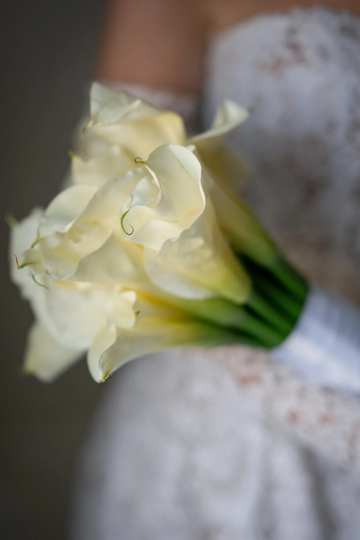 Crystal Plaza Wedding_0018.JPG