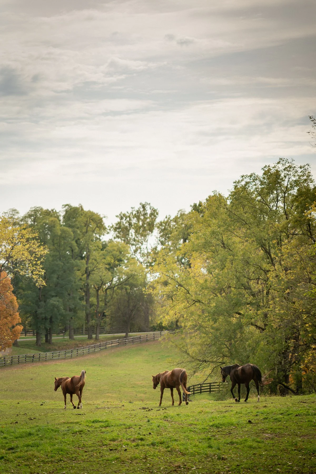 Hudson Valley Weddings at The Hill_052.JPG