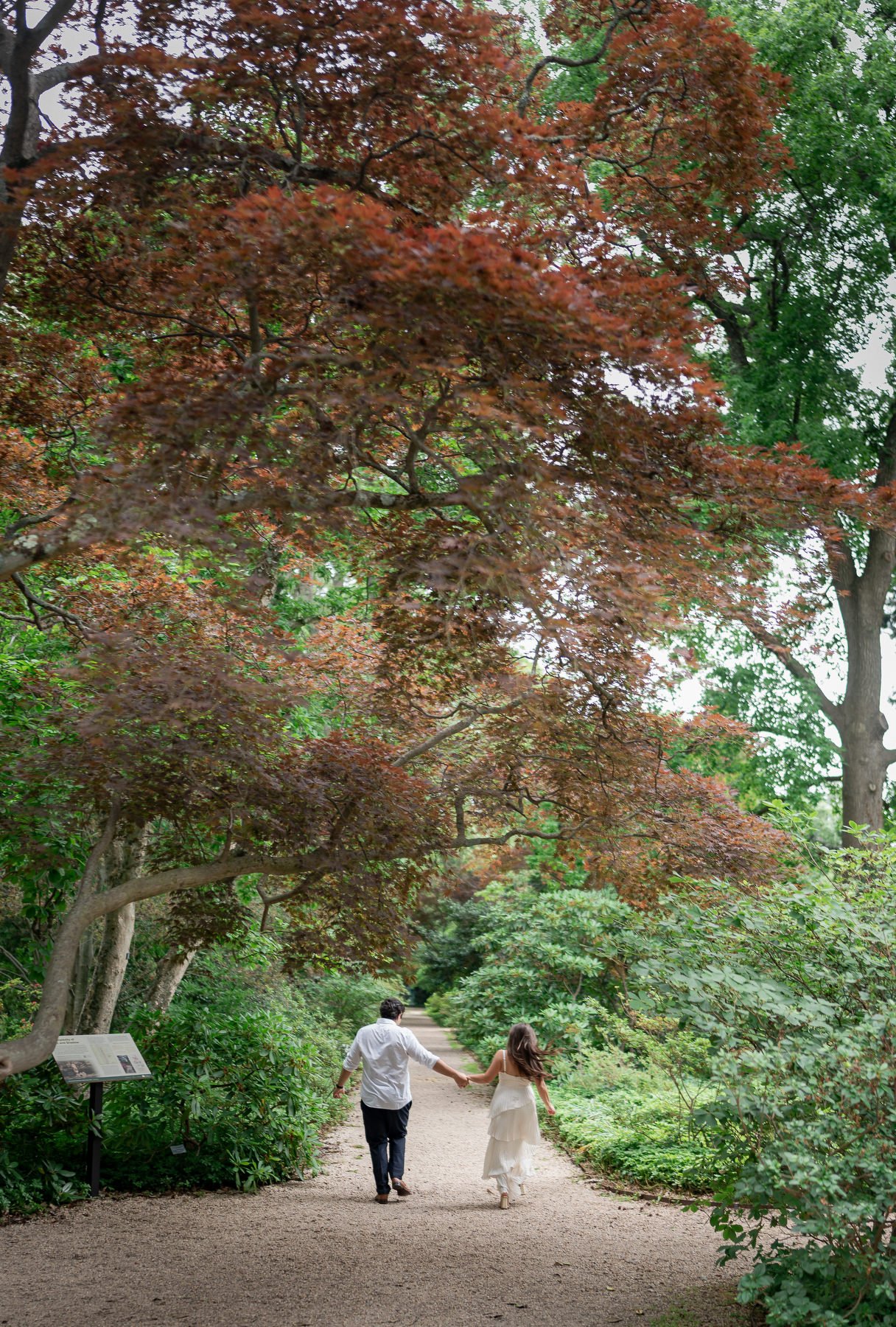 planting fields arboretum engagement photos_064.JPG