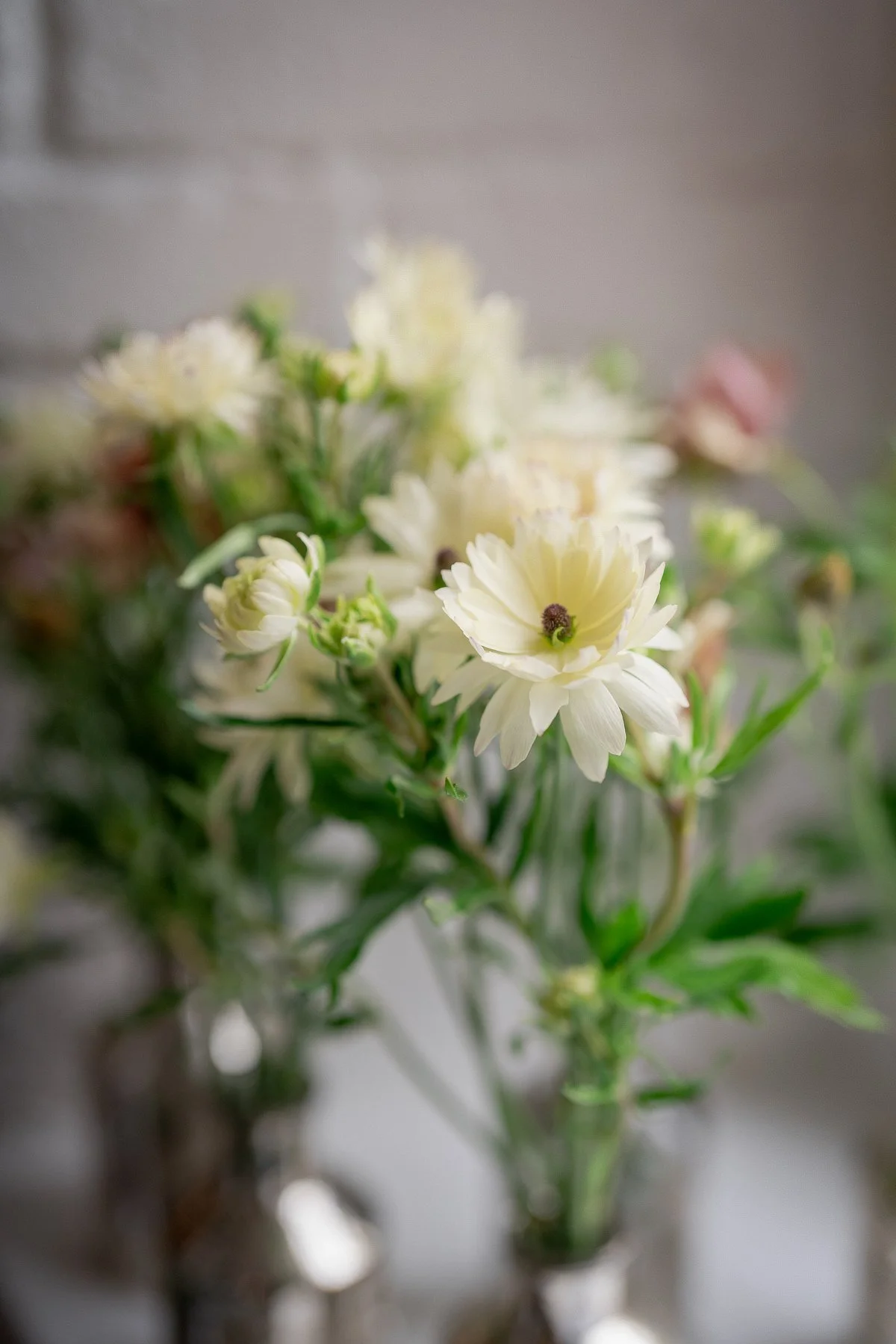 new york botanical garden stone mill wedding_0082.JPG