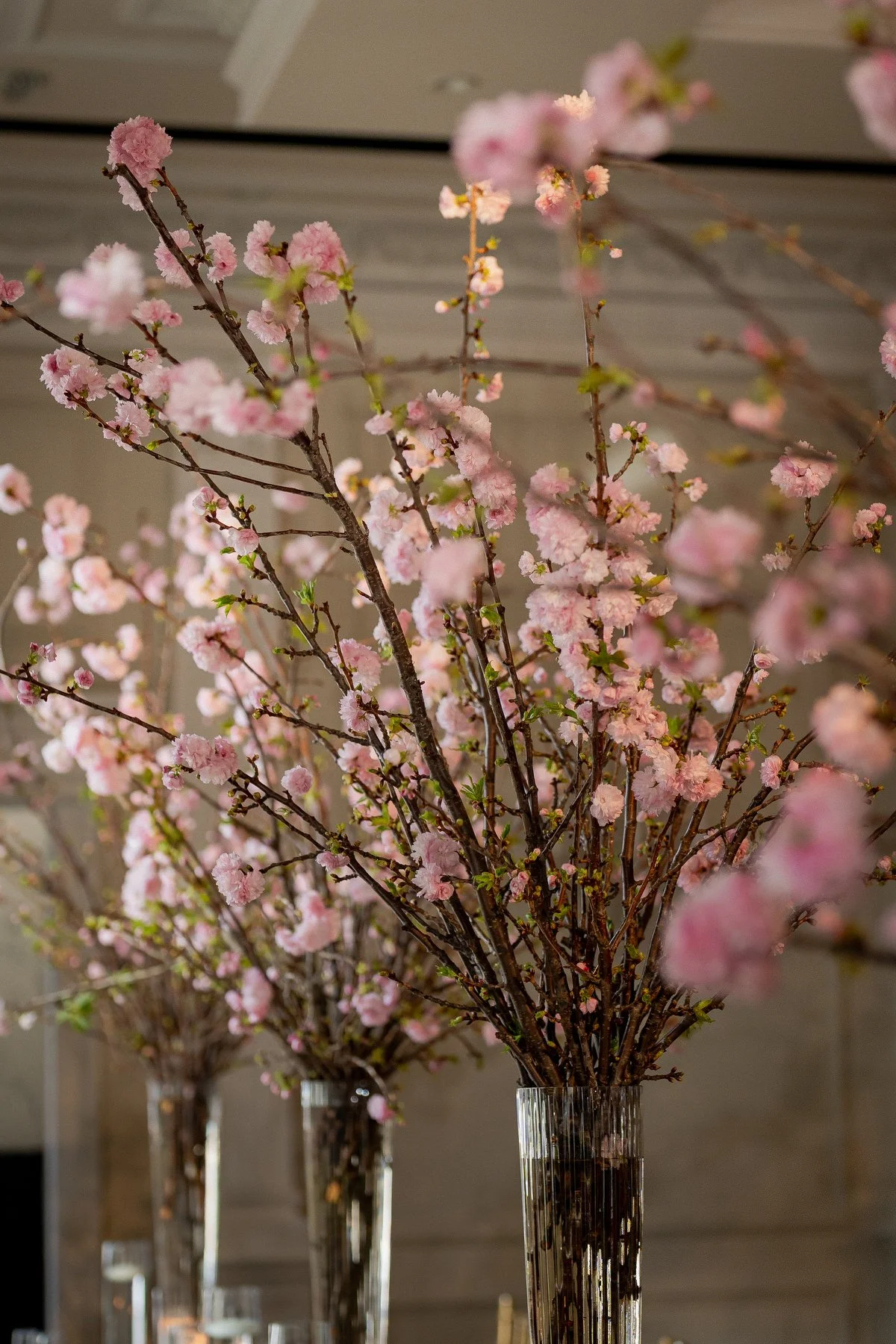 The Rockleigh Wedding_0072.JPG