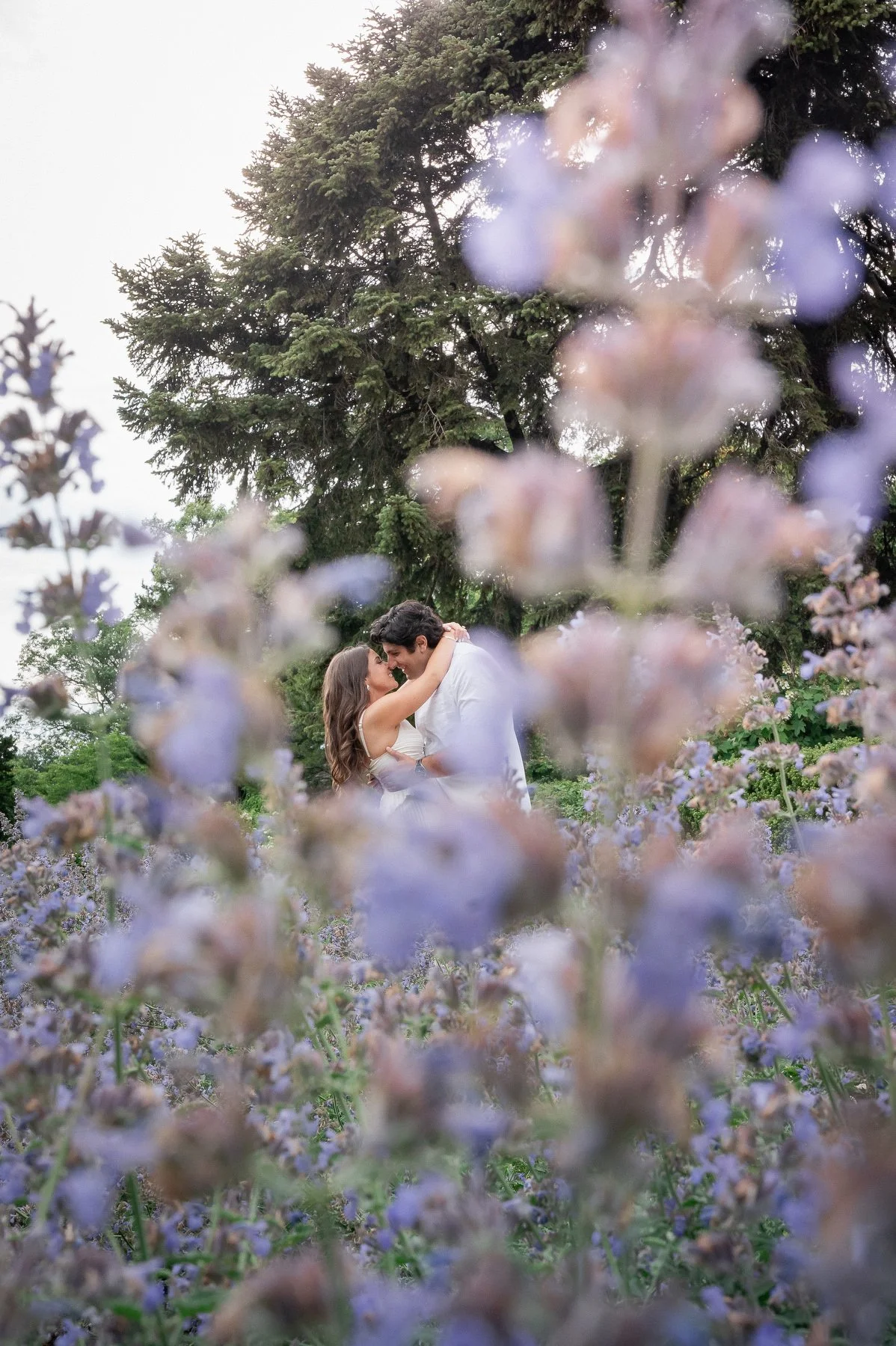 planting fields arboretum engagement photos_003.JPG