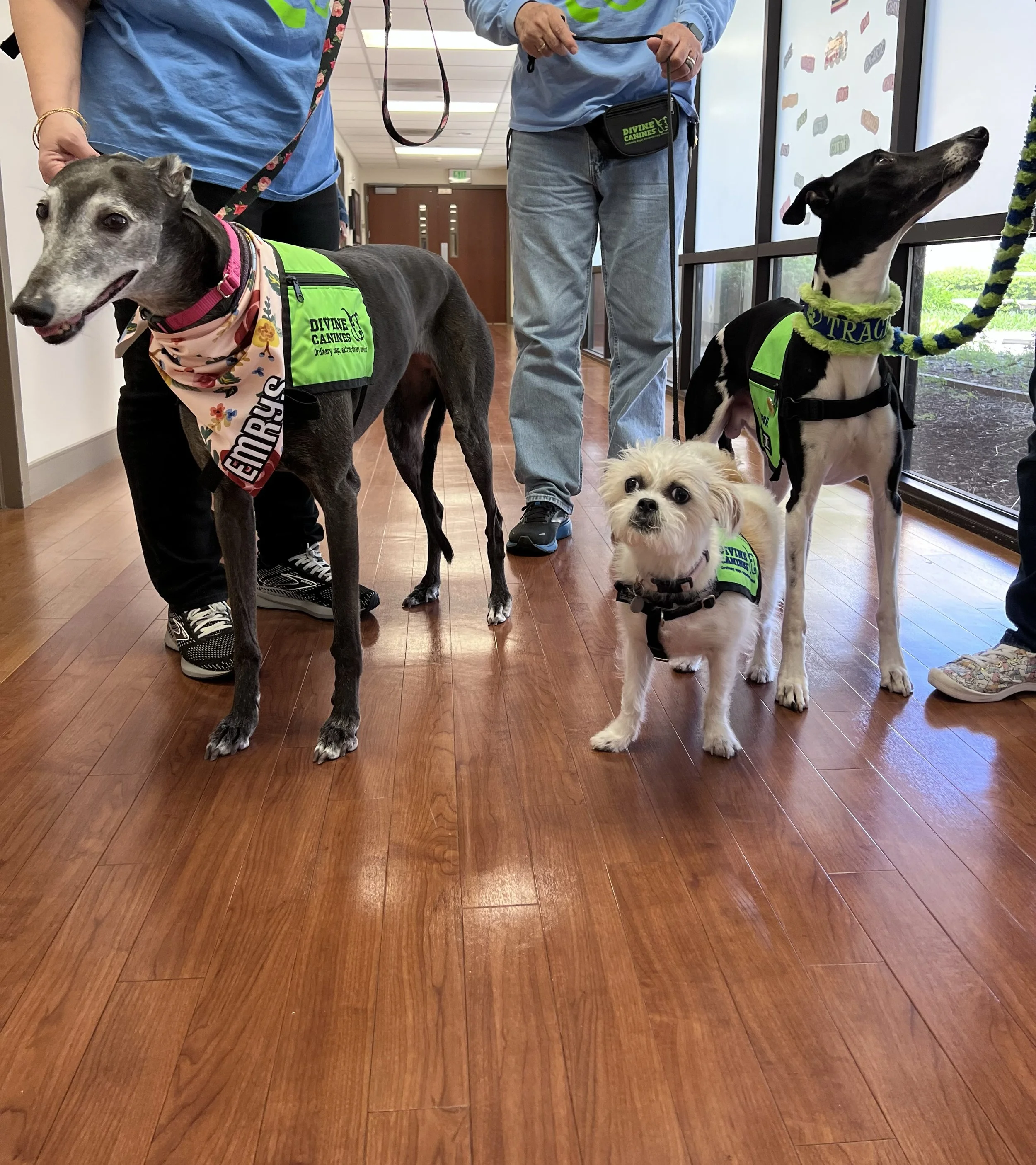 small medium large.jpg