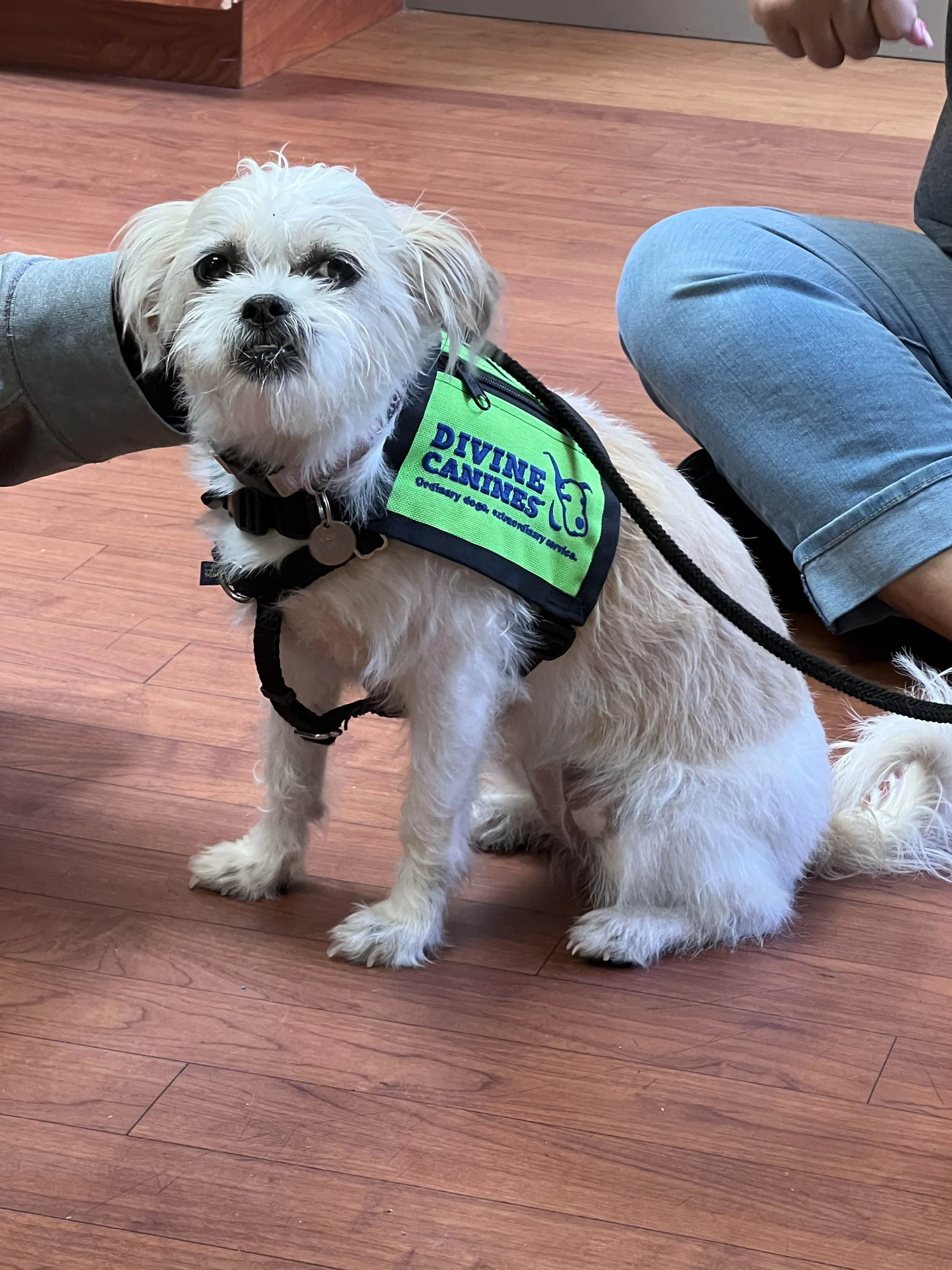 carmen cross creek 8jun2023.jpeg