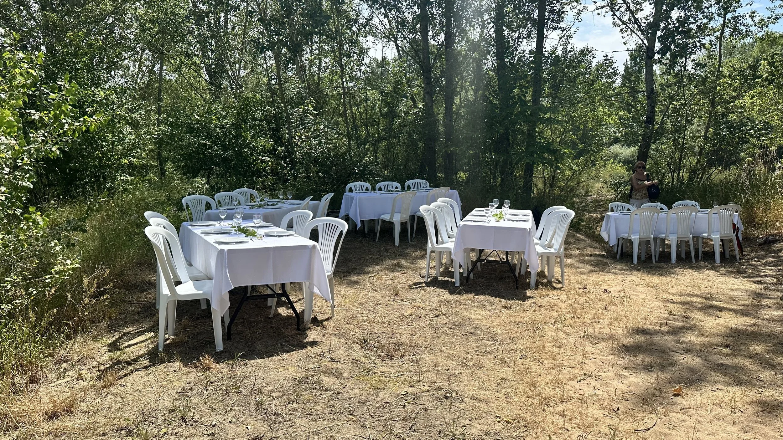 Prestation "traiteur" pour un pique-nique sur île.