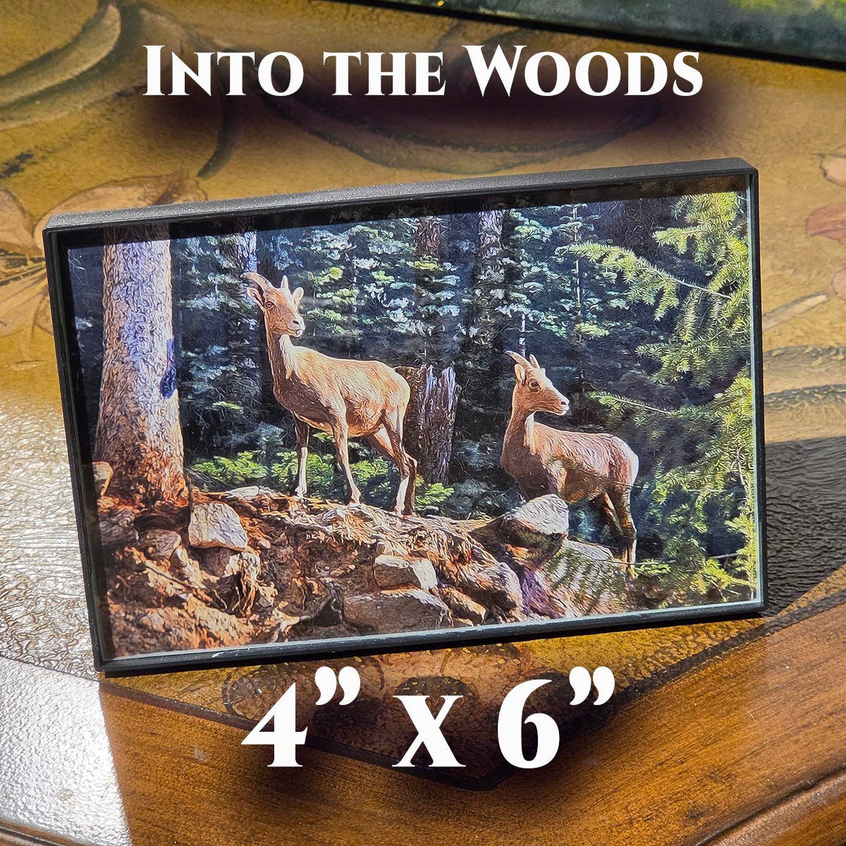 GT, Into the Woods (4x6).png