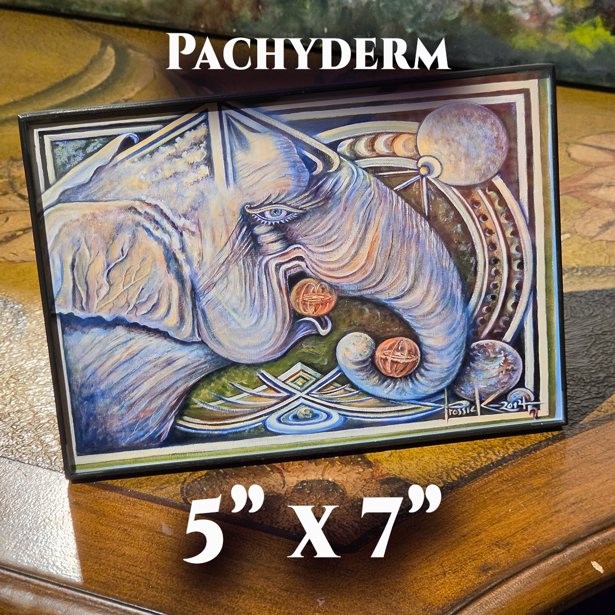 IB, Pachyderm (5x7).png