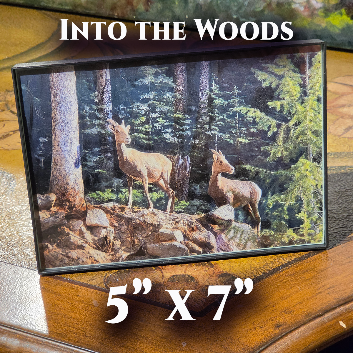GT, Into the Woods (5x7).png