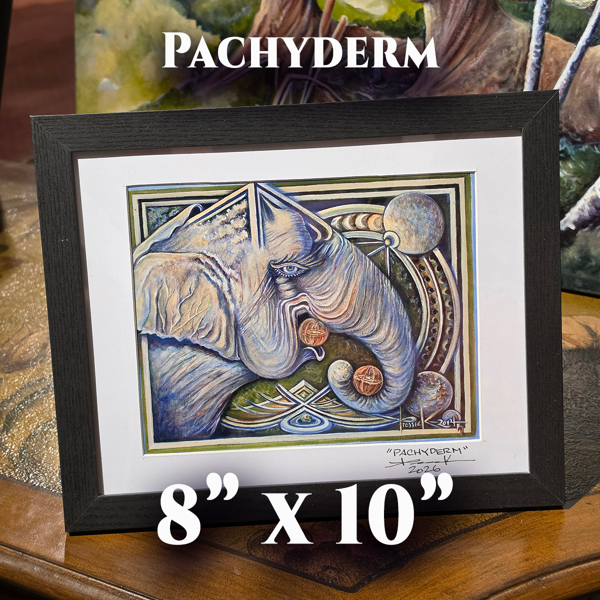 IB, Pachyderm (8x10).png