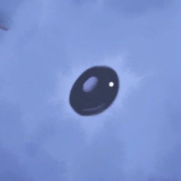 A cute little elephant 