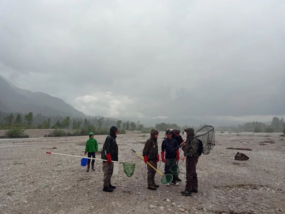 Freiwillige Helfer der beiden Fischereivereine beratschlagen über das weitere Vorgehen bei der Fisch Rettung an der Isar