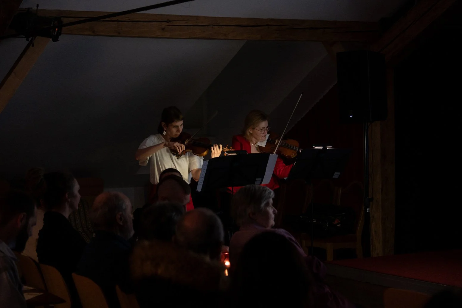 Die musikalische Bereicherung des Abends (Kopie)