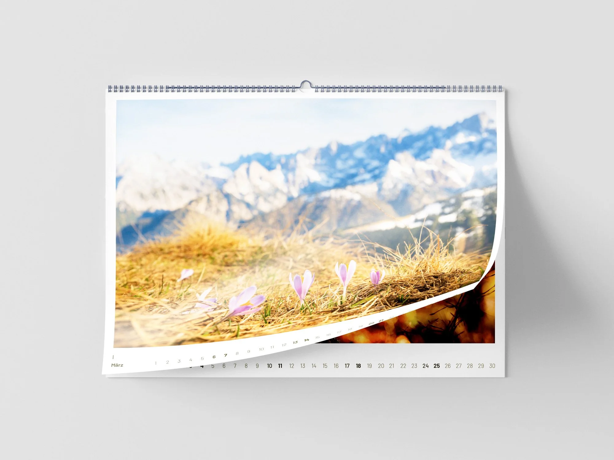 SF_Kalender_Mockup_Blätter_3.jpg