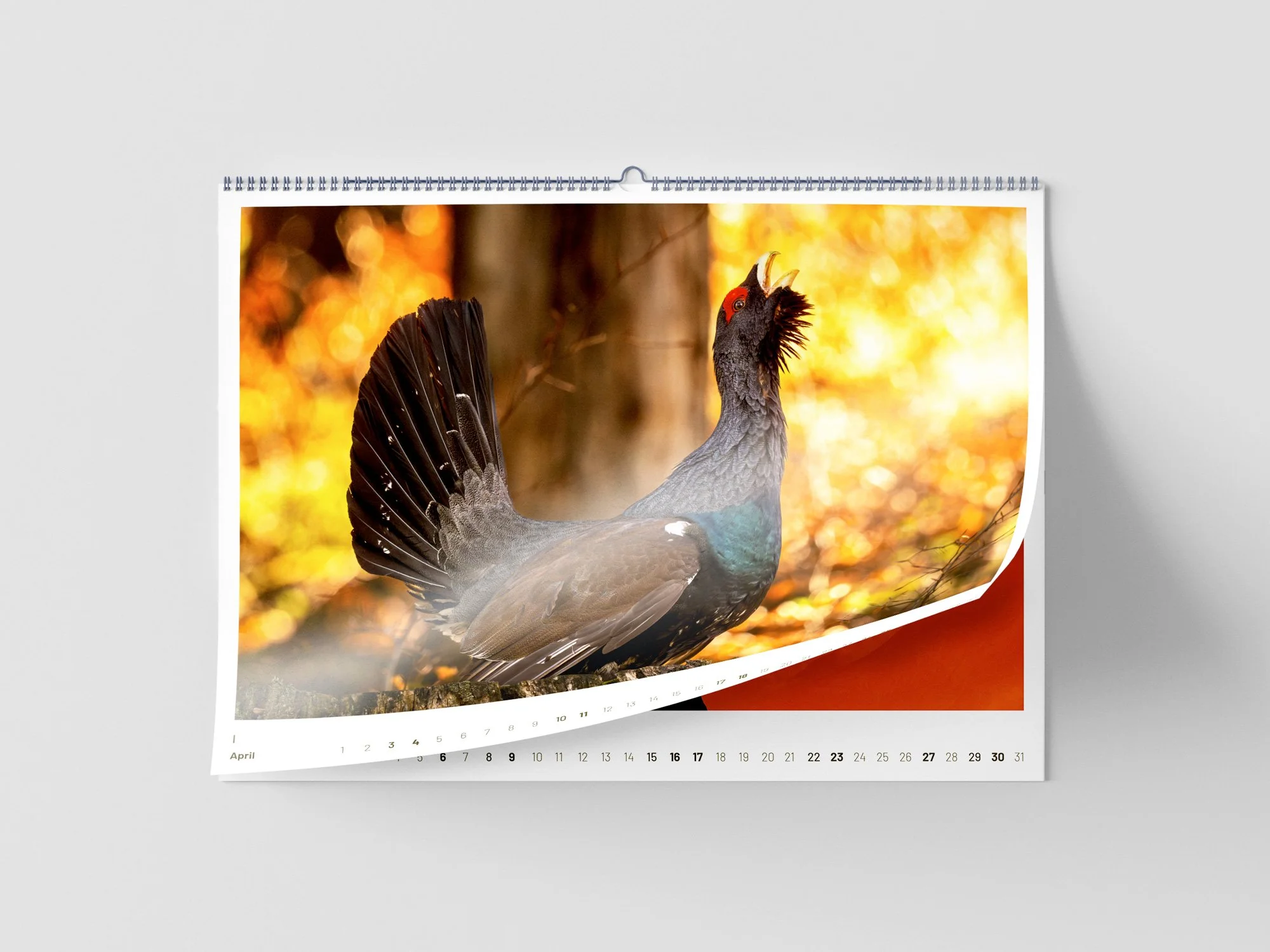 SF_Kalender_Mockup_Blätter_4.jpg
