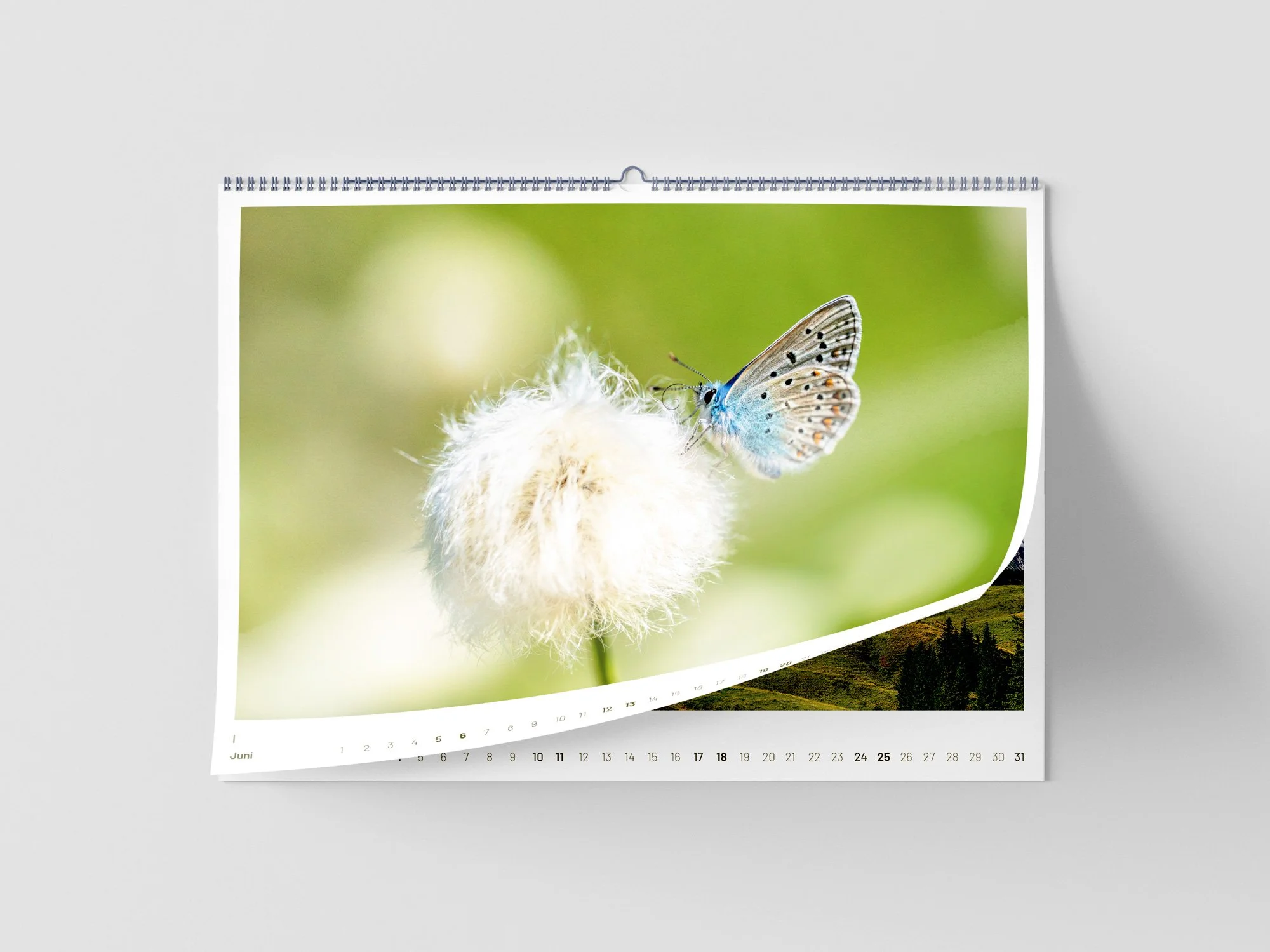 SF_Kalender_Mockup_Blätter_6.jpg