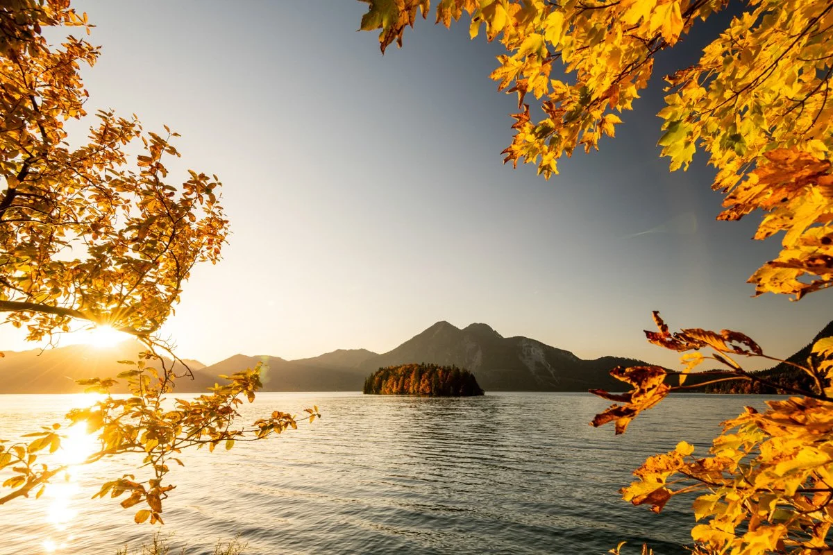 Sonnenstern und strahlendes Herbstlaub am Ufer des Walchensee, mit der Insel Sassau und Herzogstand im Hintergrund