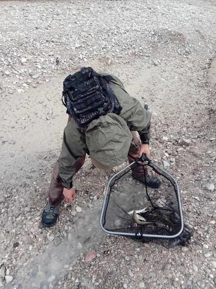 Ersthelfer beim einsammeln letzter verbliebener Fische aus einer Pfütze im ehemaligen Hauptstrom bzw. Bachbett der Isar bei Wallgau