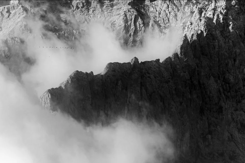 Der Grat der Östlichen Karwendelspitze bei dichten Wolken im Sonnenschein. Ein Vogelschwarm zieht darüber hinweg gen Süden (nur in großer Auflösung sichtbar).