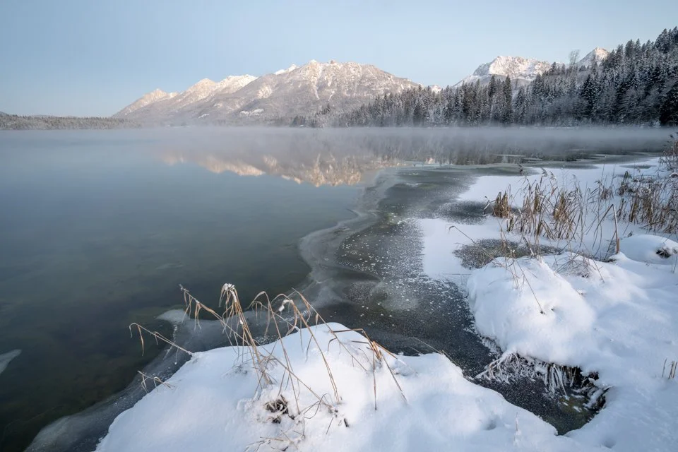 Schilf, Raureif und Schnee am Ufer des Barmsee, im Hintergrund die Soierngruppe.