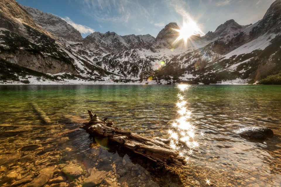 Winter am Ufer des Seebensee, ein alter Baumstamm liegt im Wasser, während das Sonnenlicht in kleinen Sternen reflektiert wird.