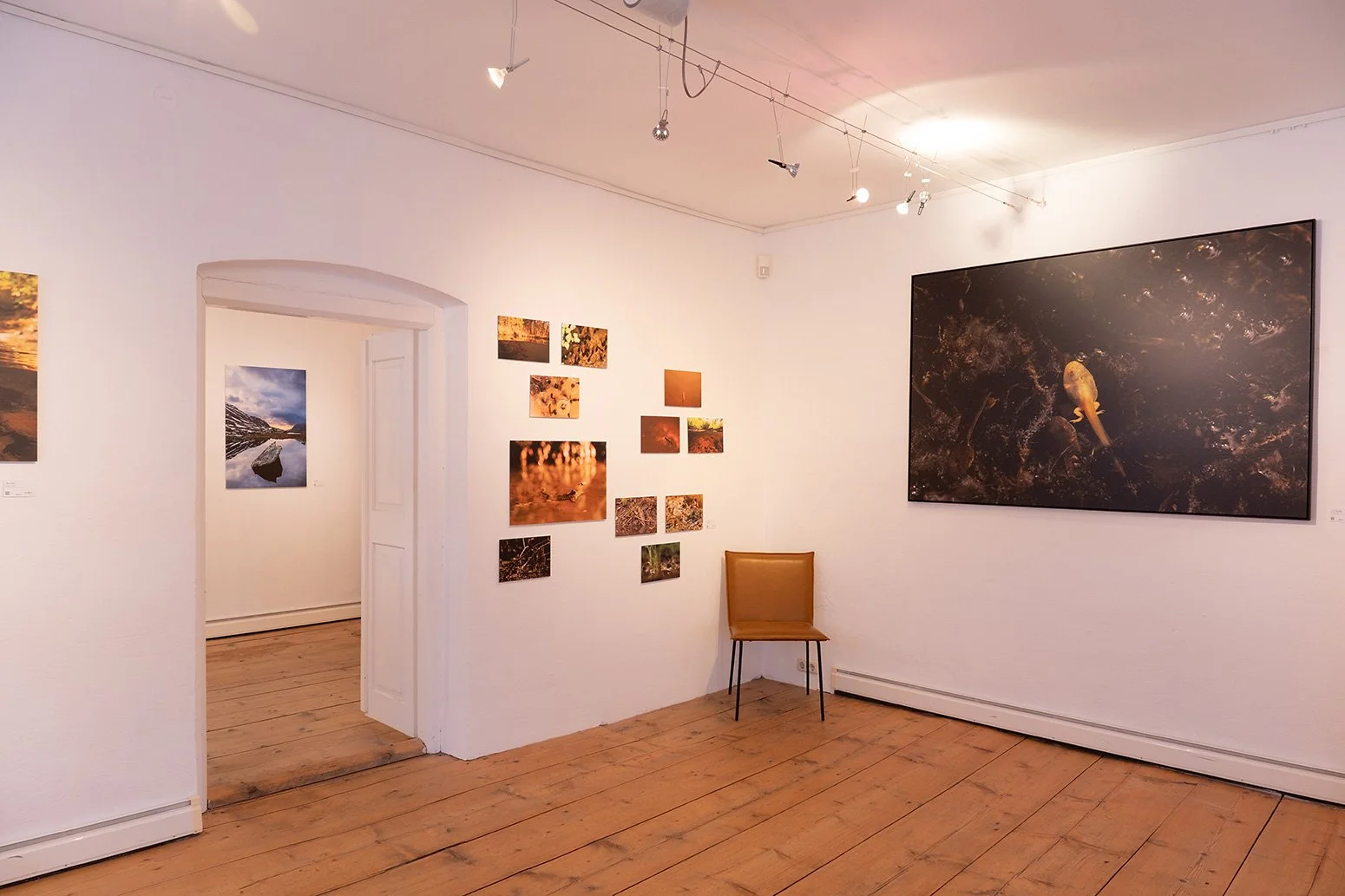 Es gibt große und kleine Motive zu entdecken!