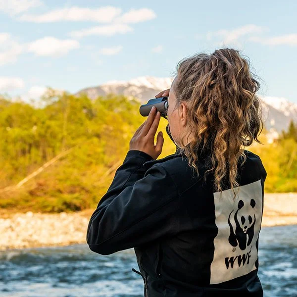 Marianne Götsch vom Österreichischen WWF beobachtet an der Isel Flussuferläufer.