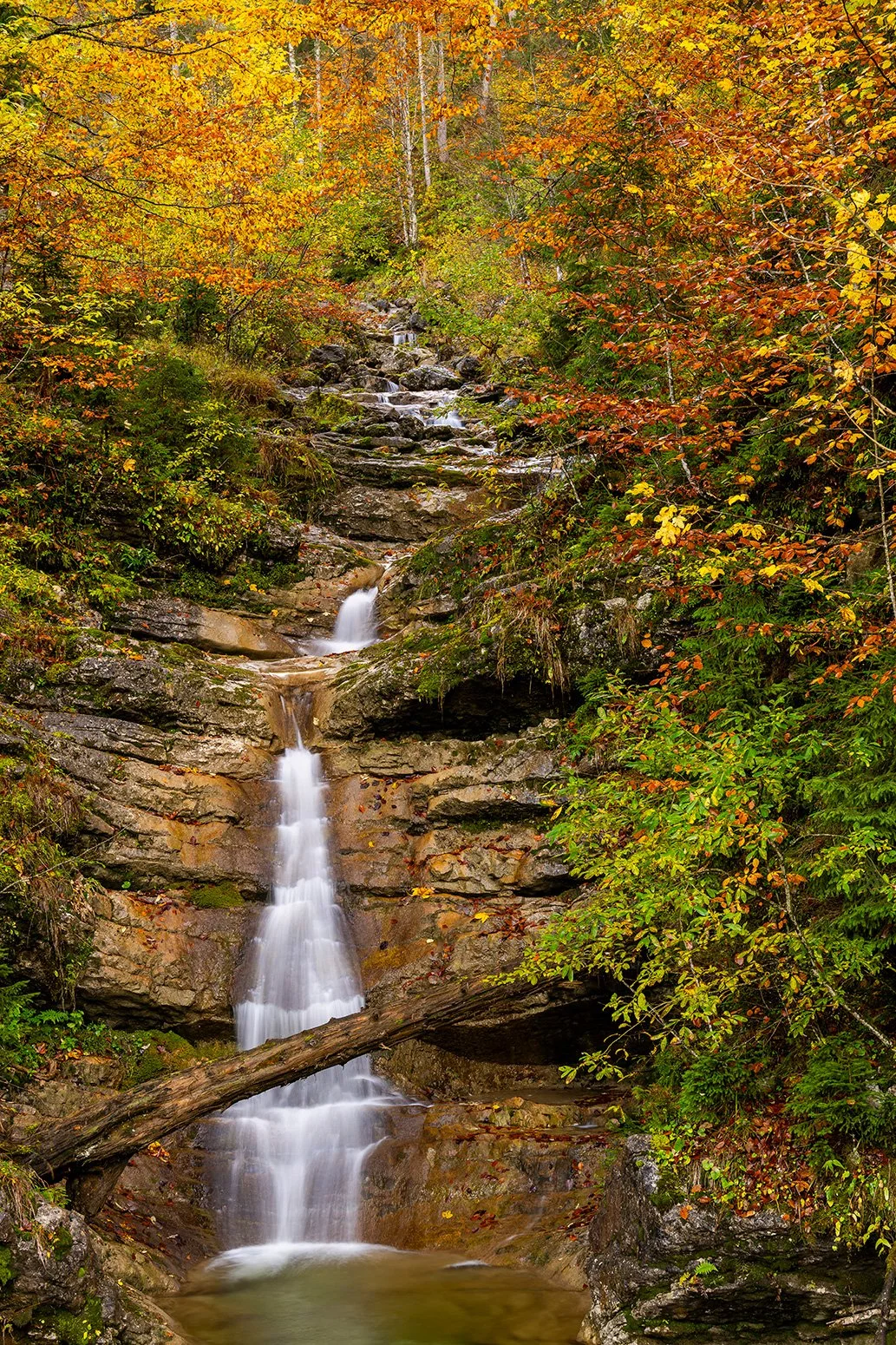 Ein kleiner Wasserfall im herbstlichen Bergwald, mitten im Karwendel, nahe dem Bechental gelegen. Das Wasser stürzt sich den Fels hinab und zum Betrachter hin.